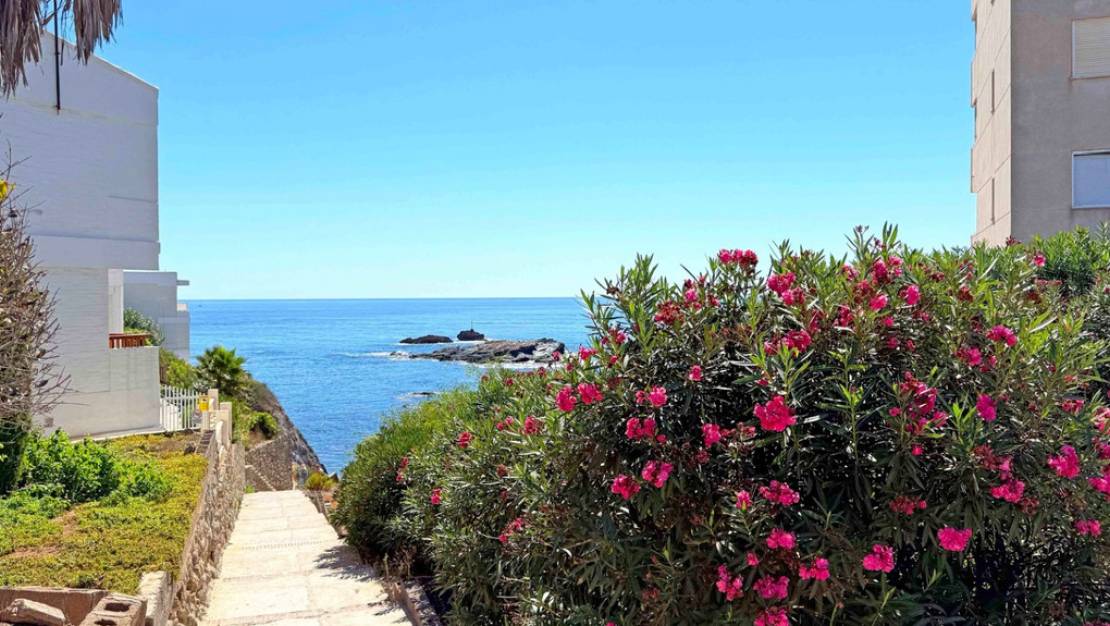 Sale - Apartment - Cartagena - Cabo de Palos