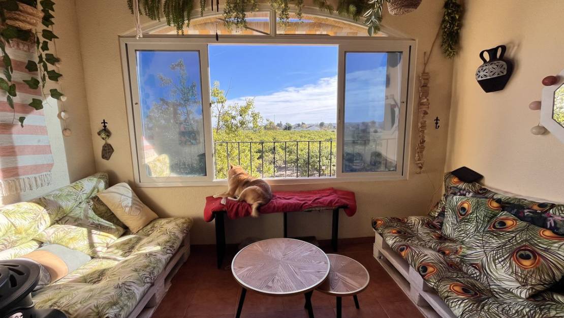 Sale - Apartment - Daya Nueva - Daya Nueva Centro