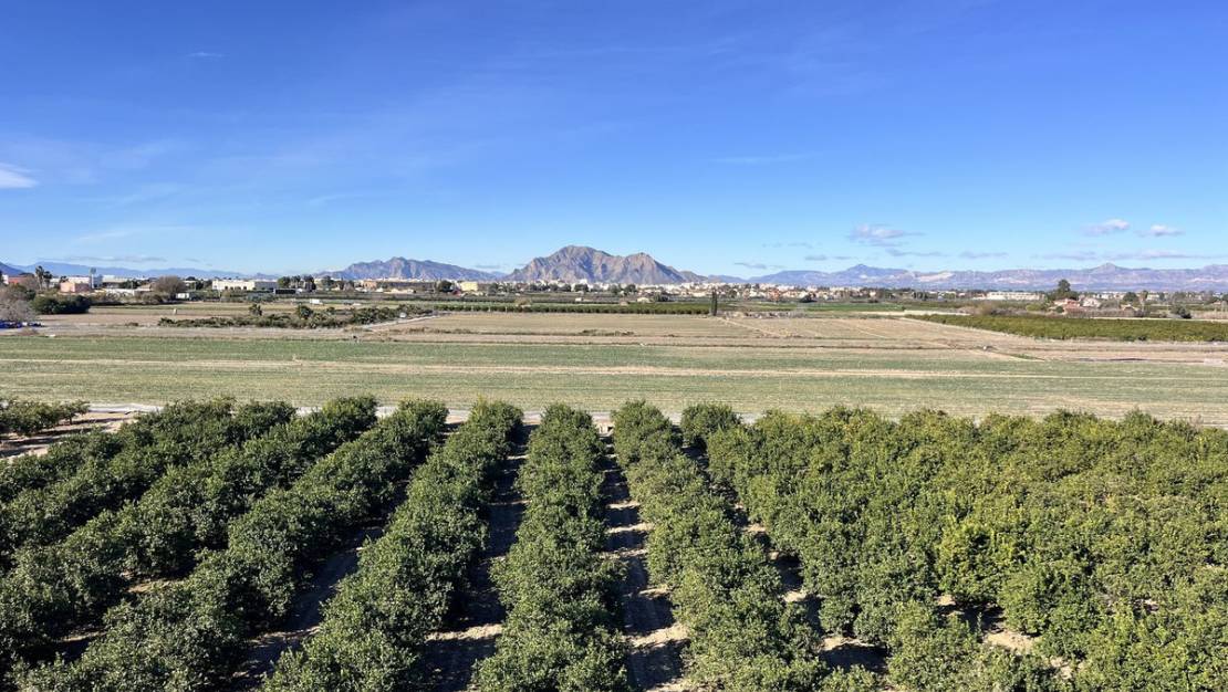 Sale - Apartment - Daya Nueva - Daya Nueva Centro