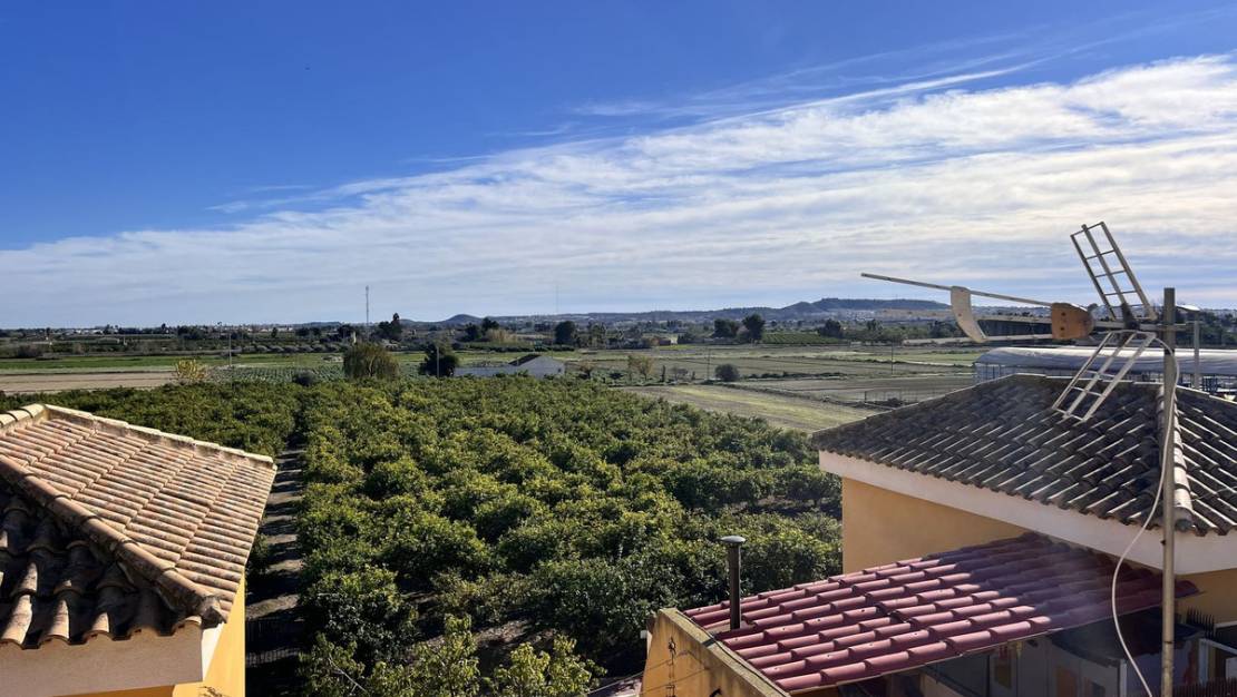 Sale - Apartment - Daya Nueva - Daya Nueva Centro