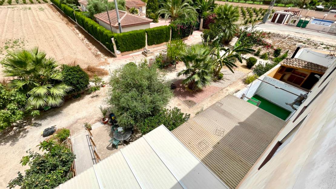 Sale - Apartment - Daya Nueva - Daya Nueva Centro
