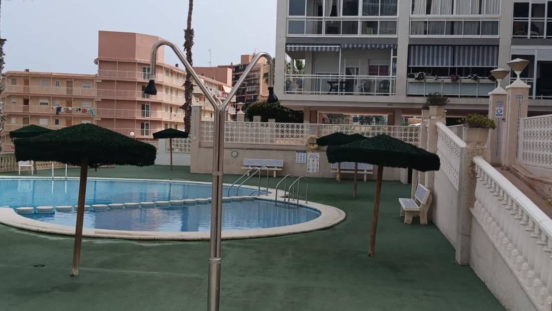 Sale - Apartment - Elche - Arenales del Sol