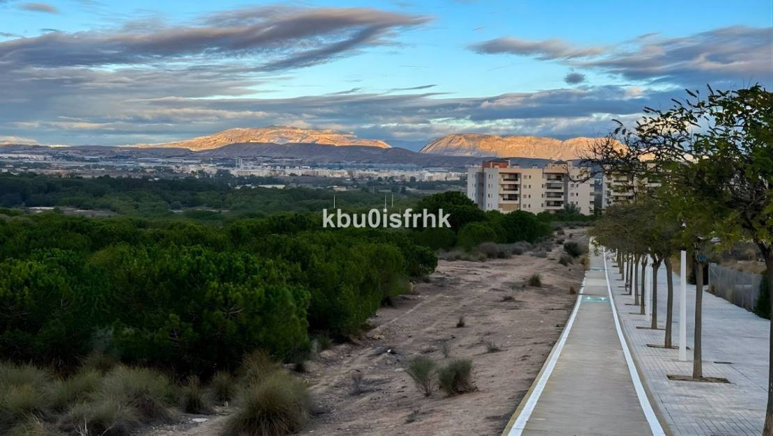 Sale - Apartment - Elche - Arenales del Sol