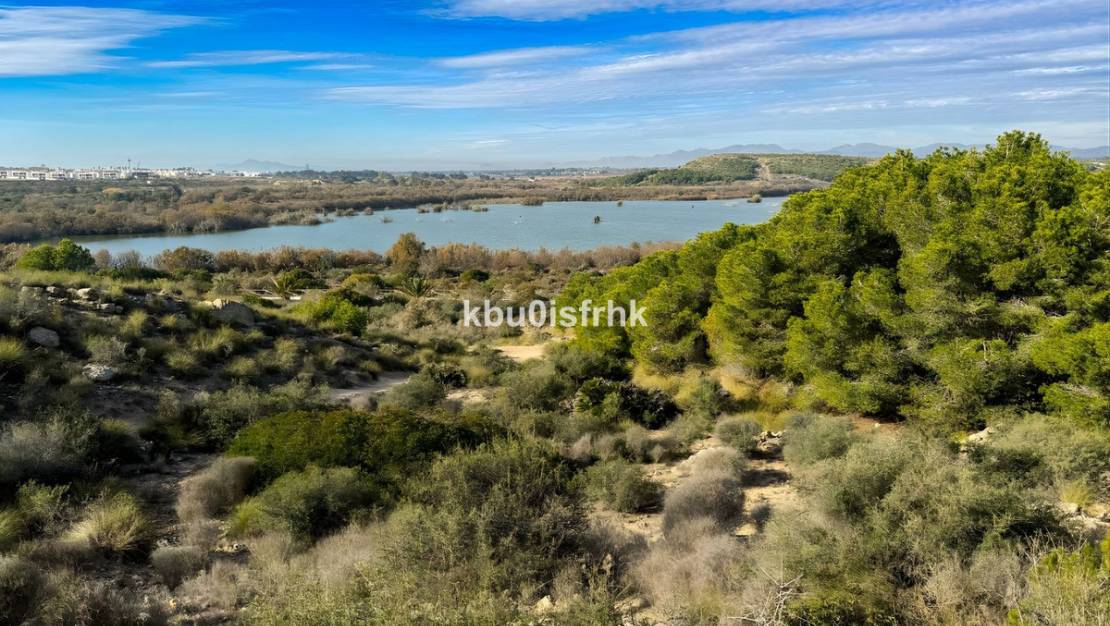 Sale - Apartment - Elche - Arenales del Sol