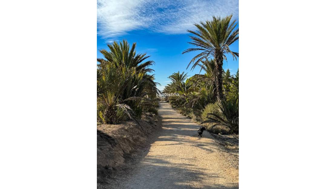 Sale - Apartment - Elche - Arenales del Sol