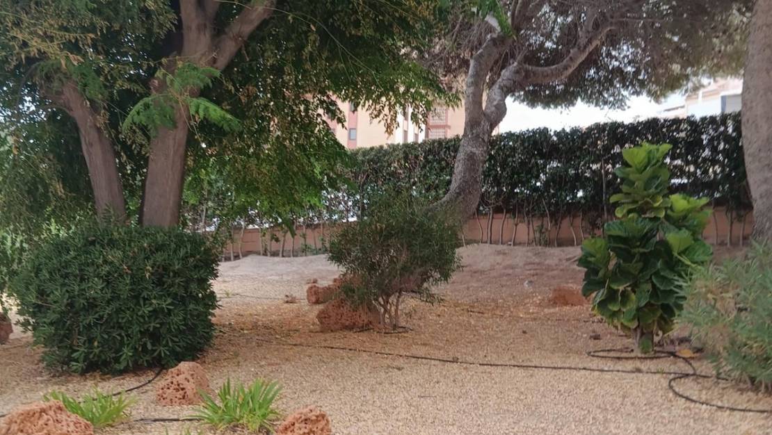 Sale - Apartment - Elche - Arenales del Sol