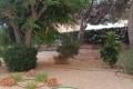 Sale - Apartment - Elche - Arenales del Sol