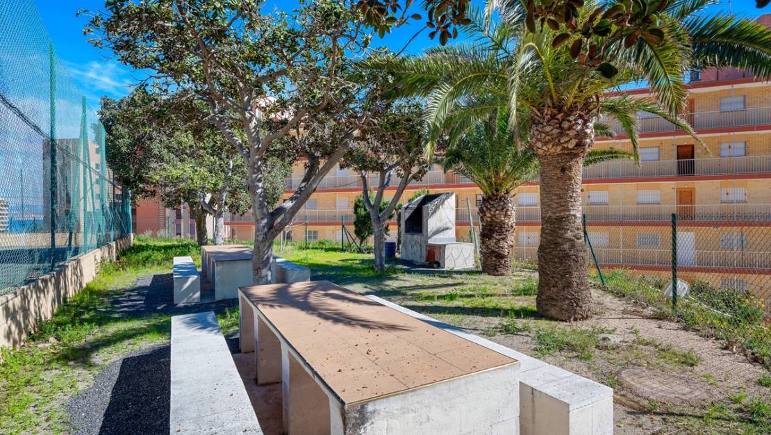 Sale - Apartment - Elche - Arenales del Sol