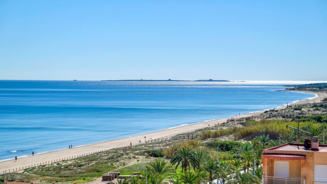 Sale - Apartment - Elche - Arenales del Sol