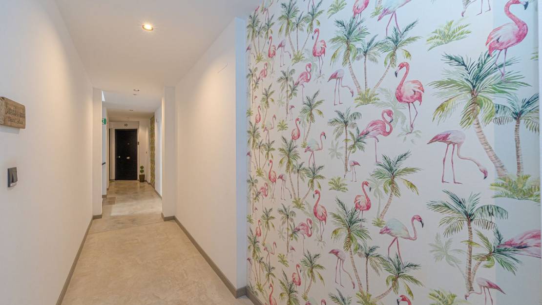 Sale - Apartment - Formentera del Segura - Formentera del Segura Centro