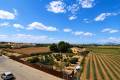Sale - Apartment - Formentera del Segura - Los Palacios