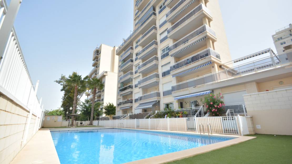 Sale - Apartment - Guardamar del Segura - Guardamar del Segura Centro