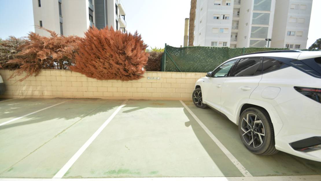 Sale - Apartment - Guardamar del Segura - Guardamar del Segura Centro