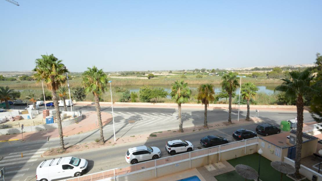 Sale - Apartment - Guardamar del Segura - Guardamar del Segura Centro