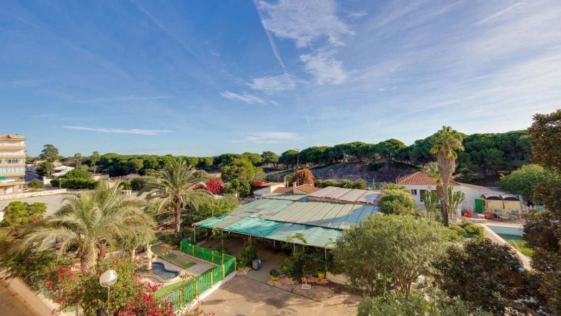 Sale - Apartment - Guardamar del Segura - Guardamar del Segura Centro