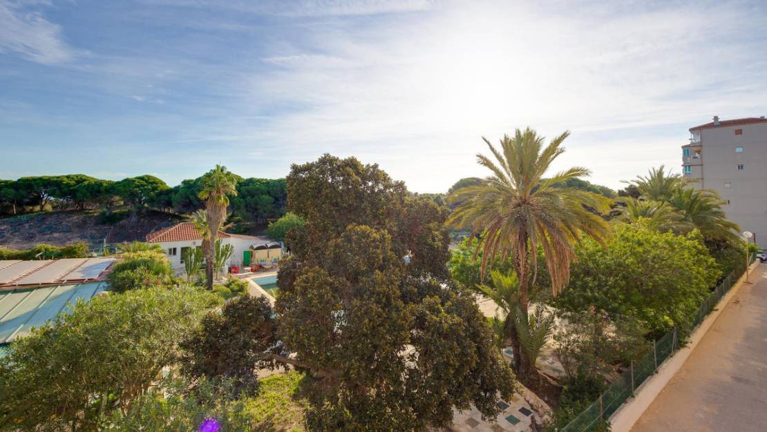 Sale - Apartment - Guardamar del Segura - Guardamar del Segura Centro