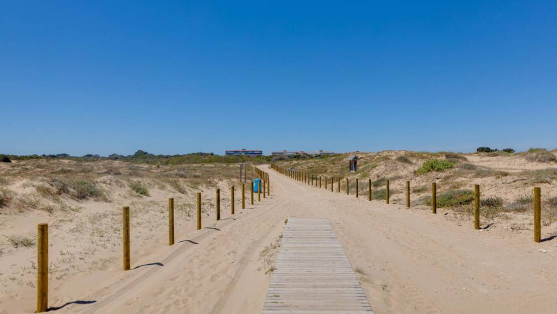 Sale - Apartment - Guardamar del Segura - Guardamar del Segura Centro