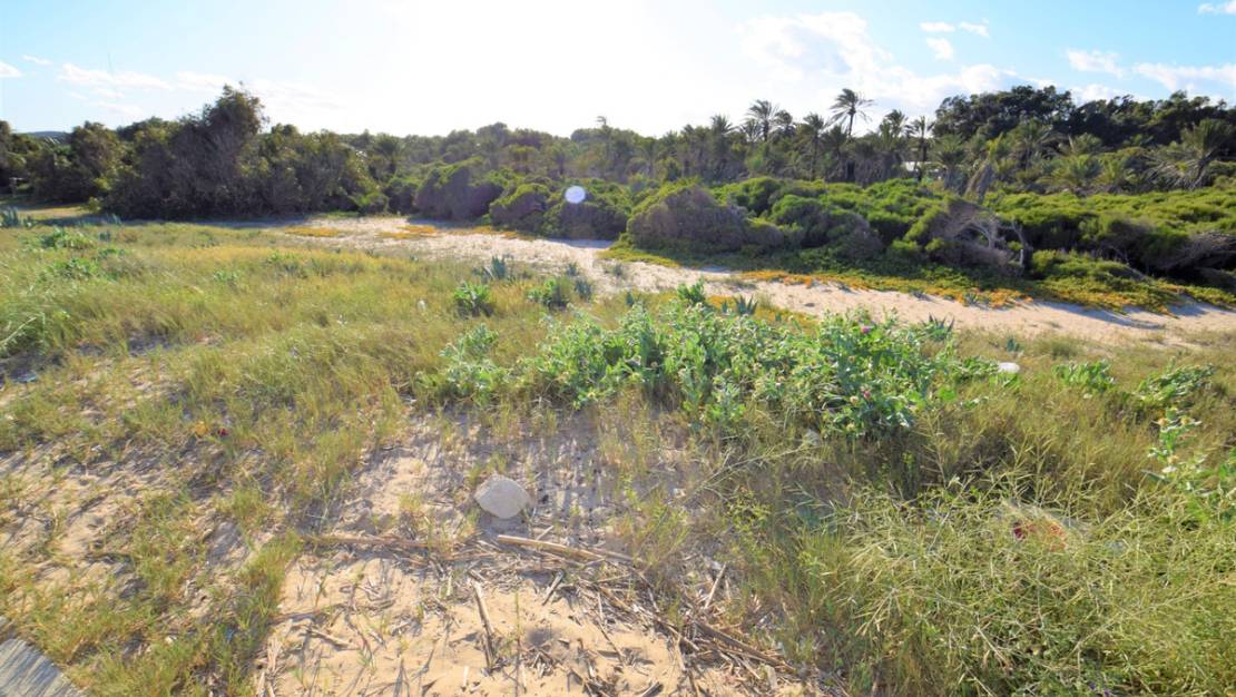 Sale - Apartment - Guardamar del Segura - Guardamar del Segura Centro