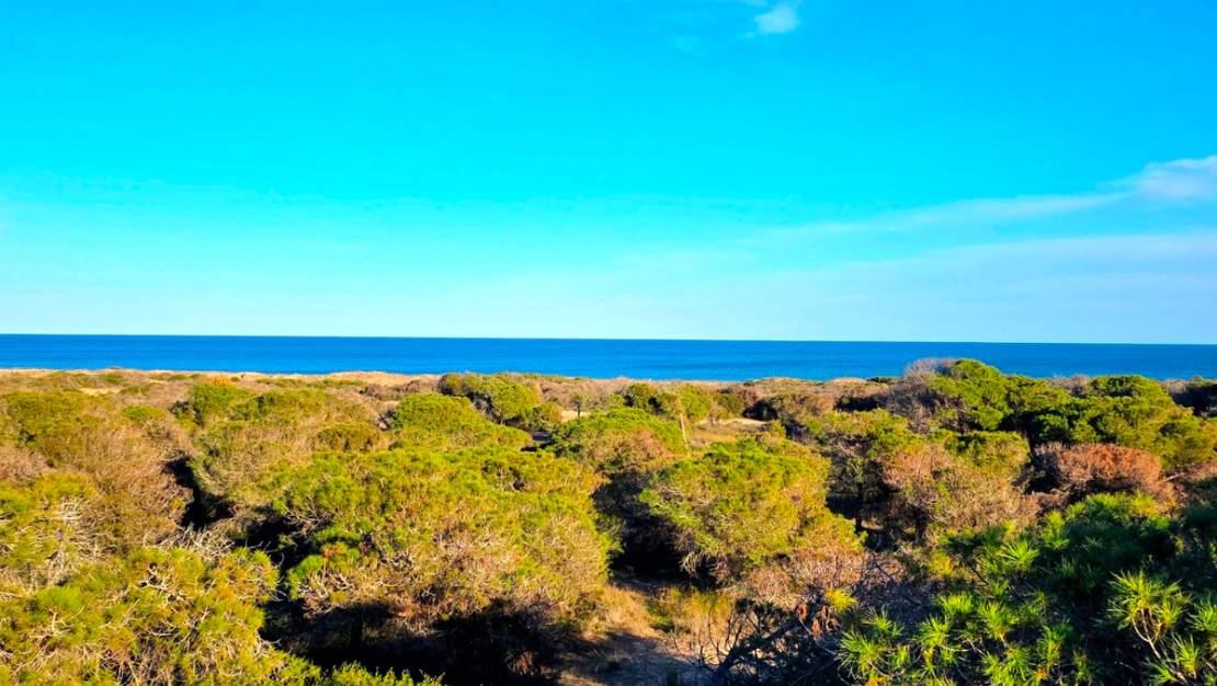 Sale - Apartment - Guardamar del Segura - Guardamar del Segura Centro