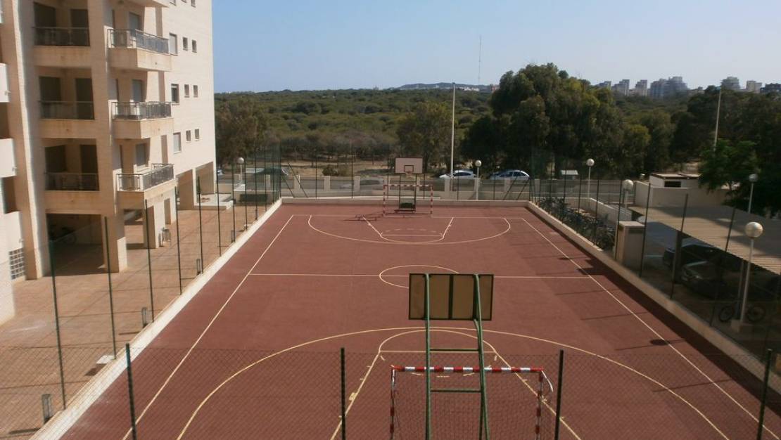 Sale - Apartment - Guardamar del Segura - Guardamar del Segura Centro