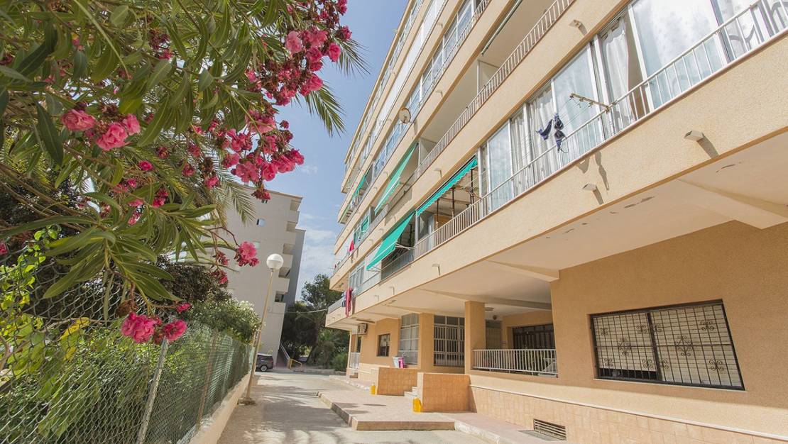 Sale - Apartment - Guardamar del Segura - Guardamar del Segura Centro