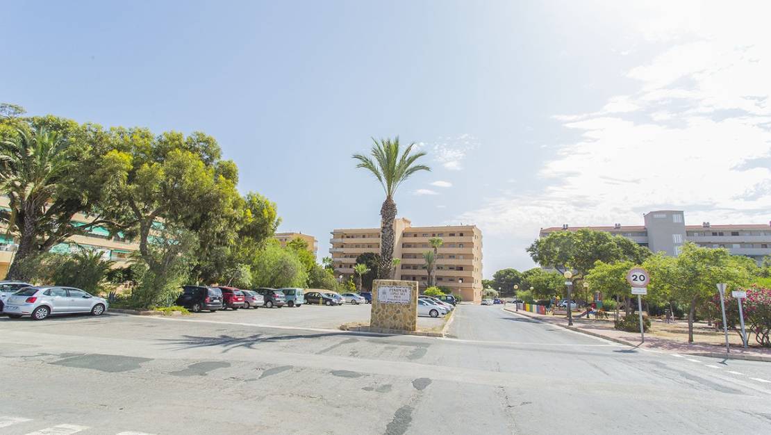 Sale - Apartment - Guardamar del Segura - Guardamar del Segura Centro