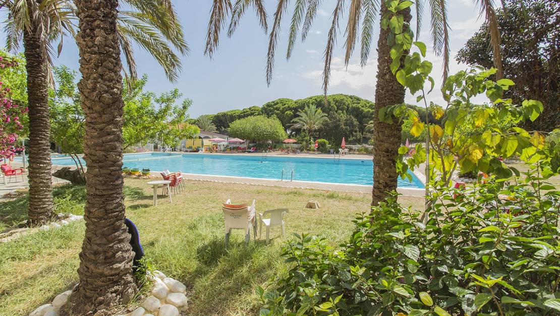 Sale - Apartment - Guardamar del Segura - Guardamar del Segura Centro