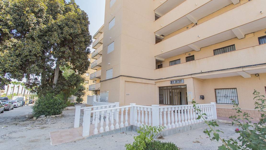 Sale - Apartment - Guardamar del Segura - Guardamar del Segura Centro