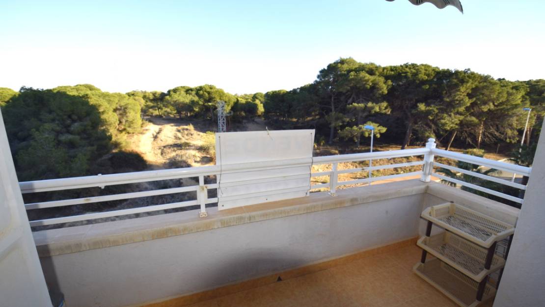 Sale - Apartment - Guardamar del Segura - Guardamar del Segura Centro