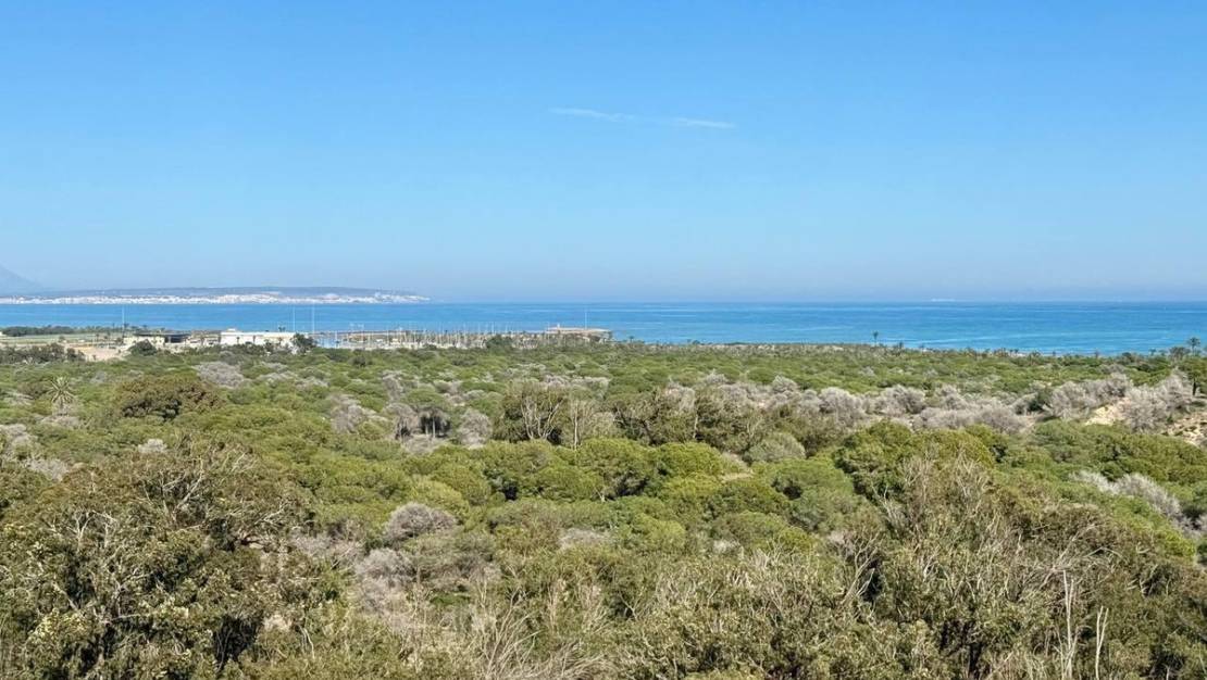 Sale - Apartment - Guardamar del Segura - Guardamar del Segura Centro