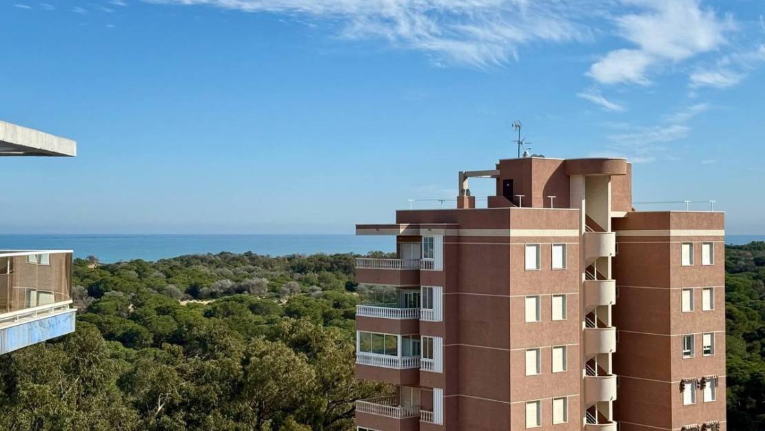 Sale - Apartment - Guardamar del Segura - Guardamar del Segura Centro