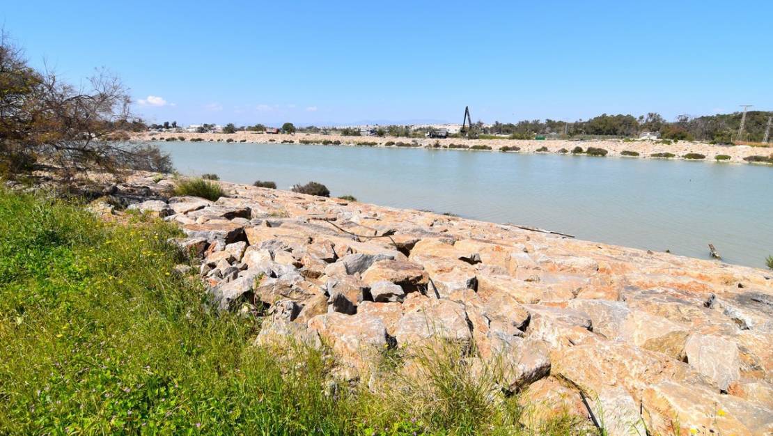 Sale - Apartment - Guardamar del Segura - Guardamar del Segura Centro