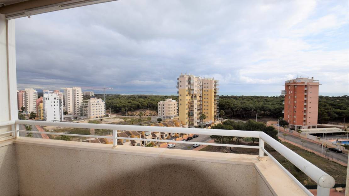 Sale - Apartment - Guardamar del Segura - Guardamar del Segura Centro