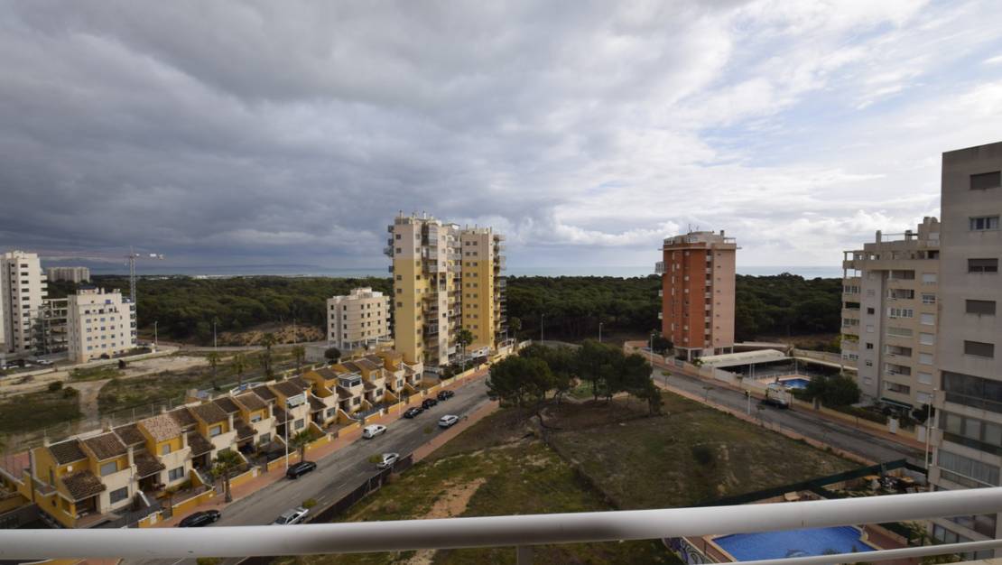 Sale - Apartment - Guardamar del Segura - Guardamar del Segura Centro