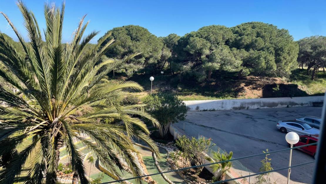 Sale - Apartment - Guardamar del Segura - Guardamar del Segura Centro