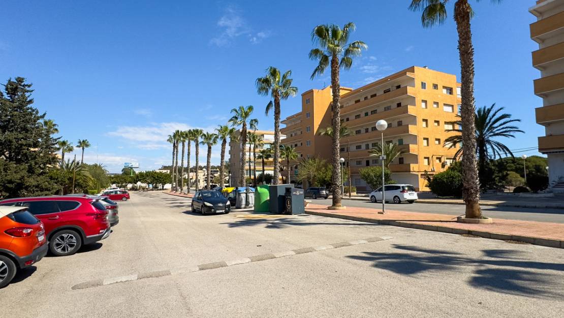 Sale - Apartment - Guardamar del Segura - Guardamar del Segura Centro