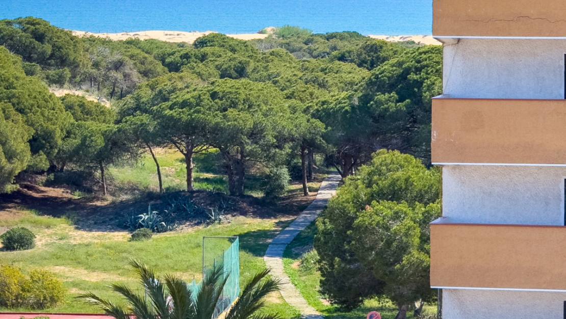 Sale - Apartment - Guardamar del Segura - Guardamar del Segura Centro