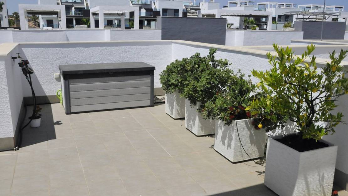Sale - Apartment - Guardamar del Segura - Guardamar del Segura Centro