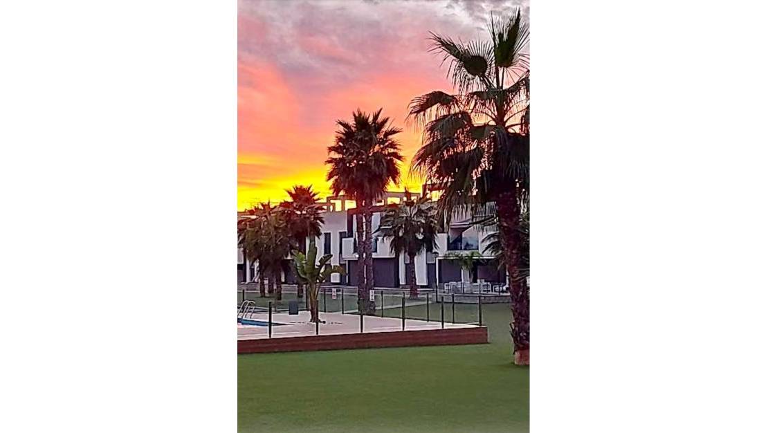 Sale - Apartment - Guardamar del Segura - Guardamar del Segura Centro