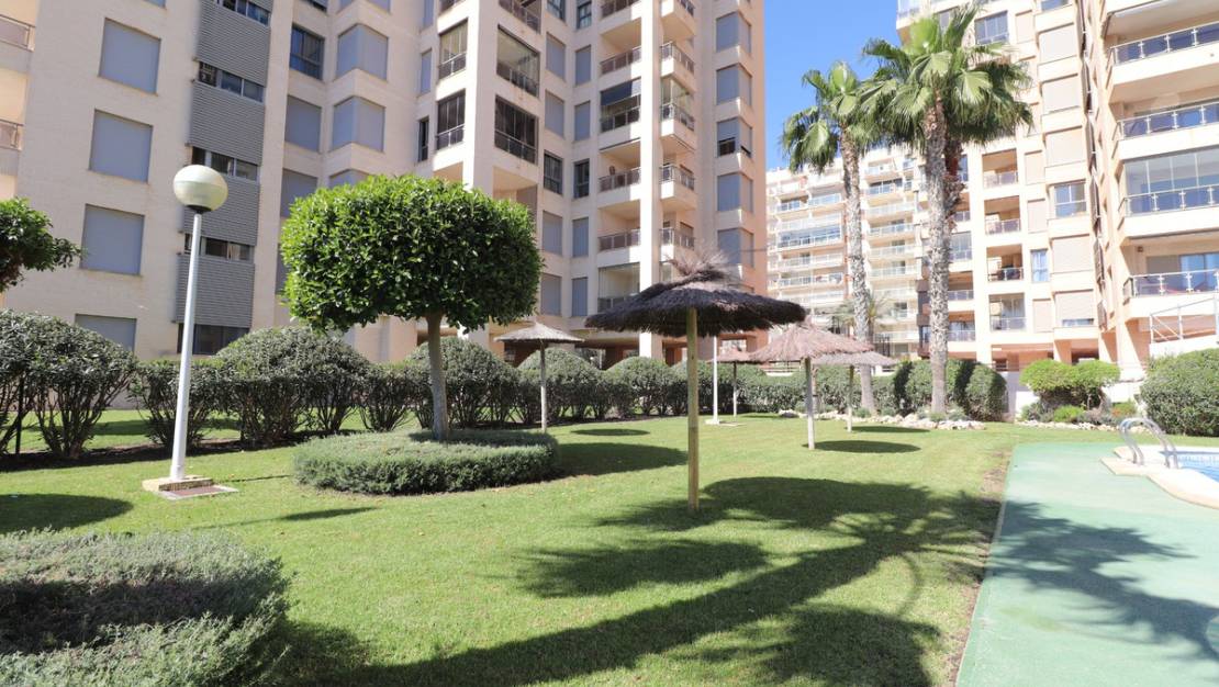 Sale - Apartment - Guardamar del Segura - Guardamar del Segura Centro