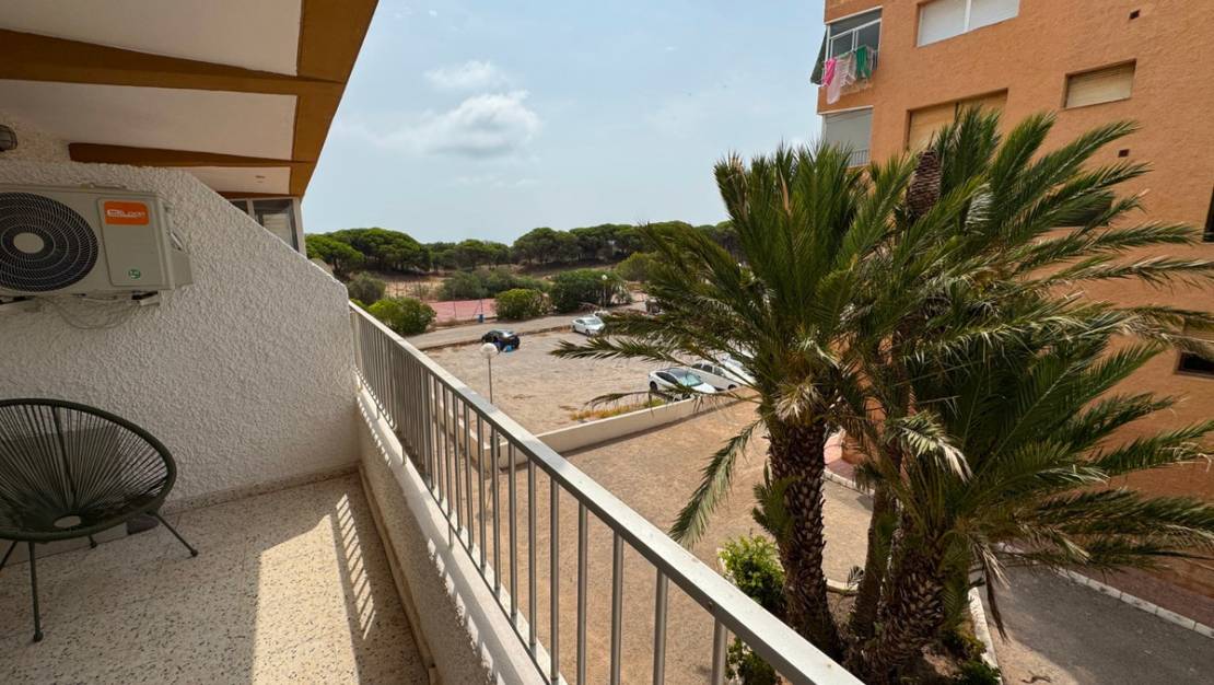 Sale - Apartment - Guardamar del Segura - Guardamar del Segura Centro