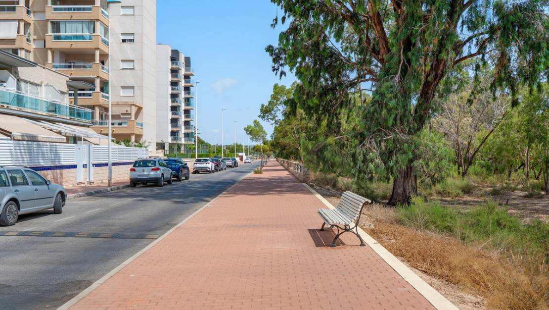Sale - Apartment - Guardamar del Segura - Guardamar del Segura Centro
