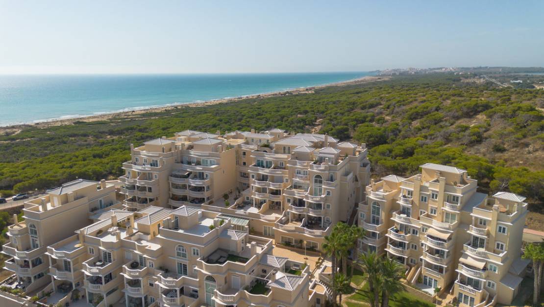 Sale - Apartment - Guardamar del Segura - Guardamar del Segura Centro