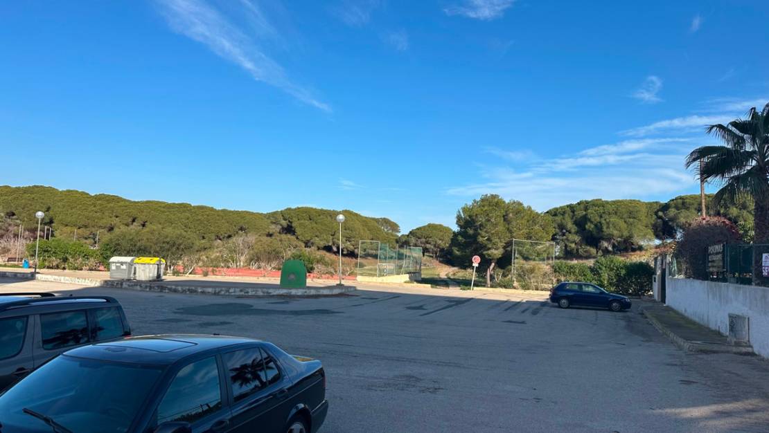 Sale - Apartment - Guardamar del Segura - Guardamar del Segura Centro