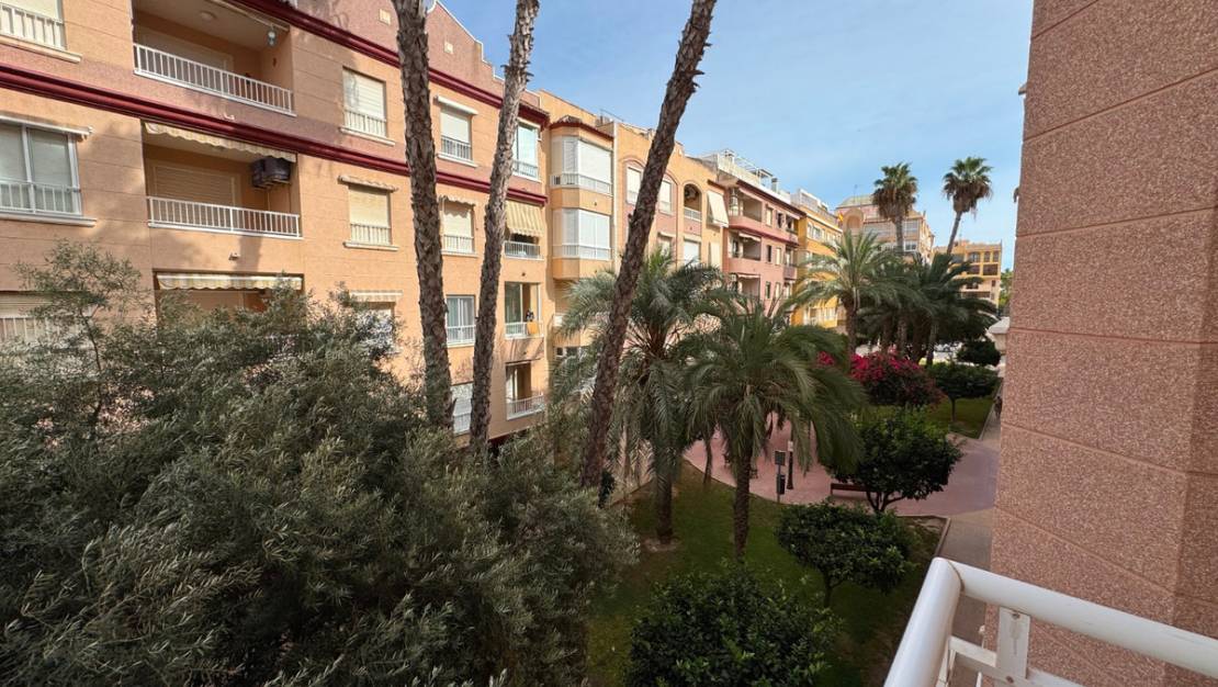 Sale - Apartment - Guardamar del Segura - Guardamar del Segura Centro