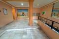Sale - Apartment - Guardamar del Segura - Guardamar del Segura Centro