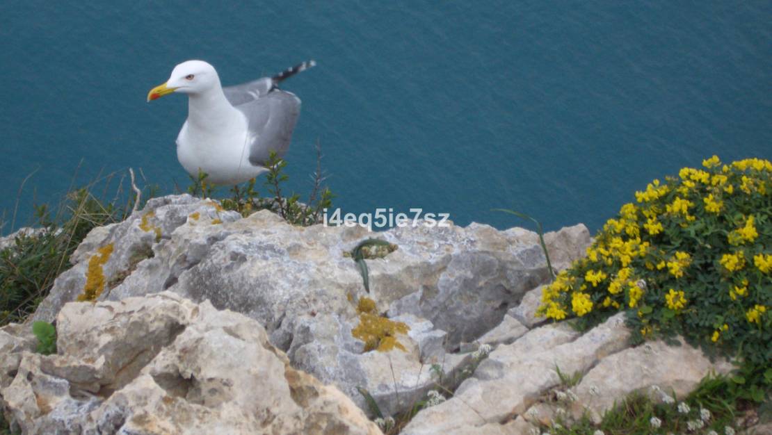 Sale - Apartment - Jávea - Xàbia - Jávea - Xàbia Centro