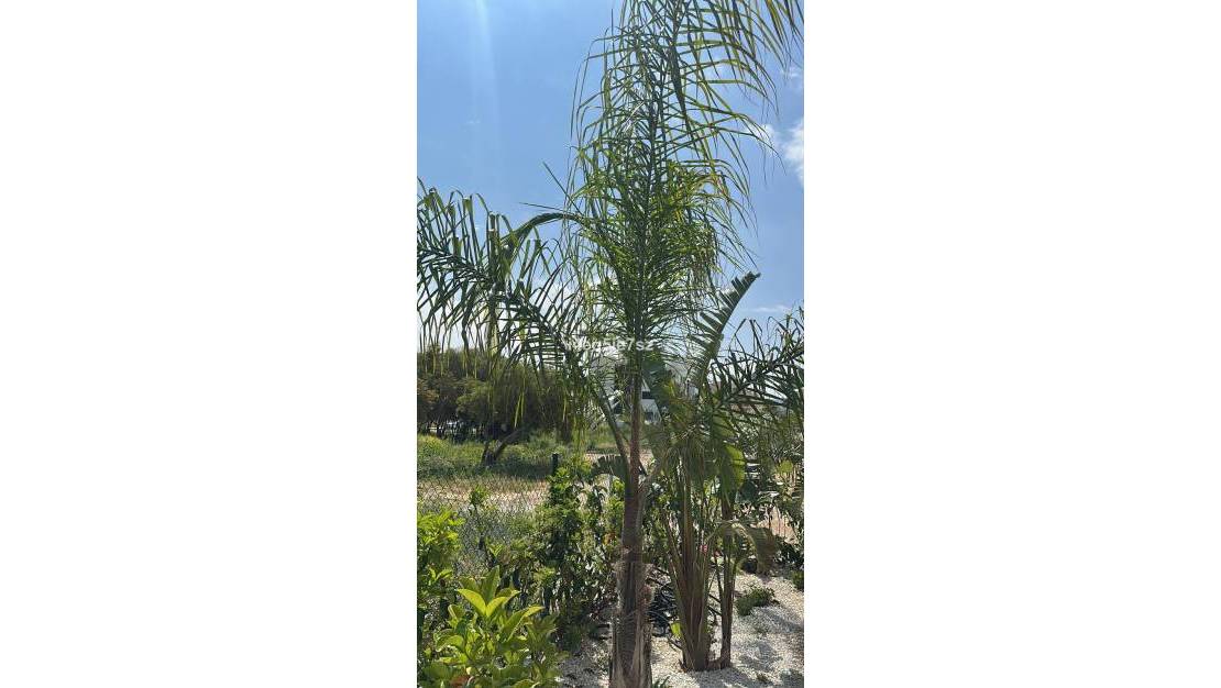 Sale - Apartment - Jávea - Xàbia - Jávea - Xàbia Centro