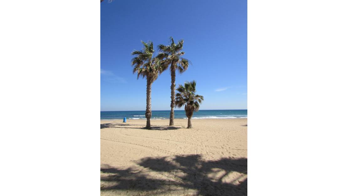 Sale - Apartment - La Mata