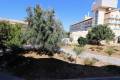 Sale - Apartment - Los Alcázares - Los Alcazares Centro